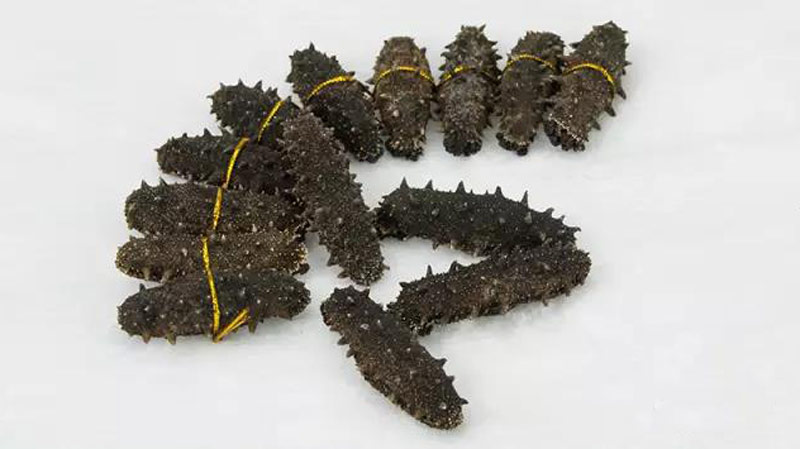 海參鮑魚(yú)