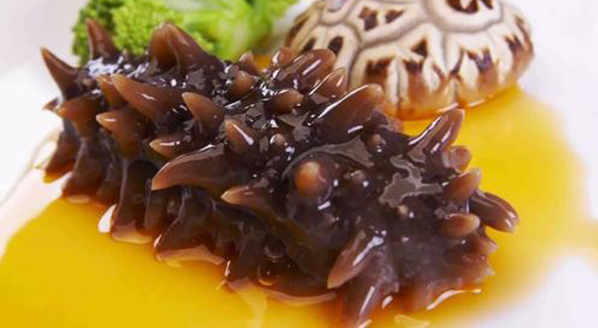 淡干海參的食用禁忌