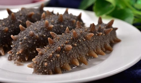 即食海參到底有沒(méi)有營(yíng)養？看完你就明白了！