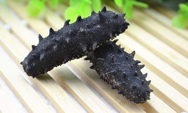 海參的主要成分以及主治功效