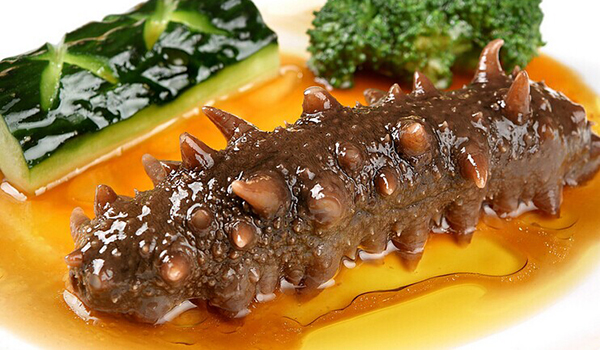 海參吃了沒(méi)效果？了解吃海參的最佳時(shí)間，這樣的吃法事半功倍