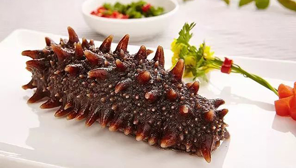 市面常見(jiàn)的海參種類(lèi)，哪種海參吃了營(yíng)養最好？