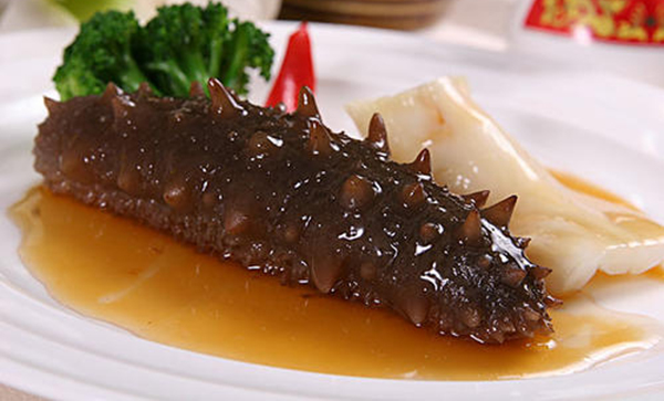 冬季海參進(jìn)補吃了會(huì )有什么功效