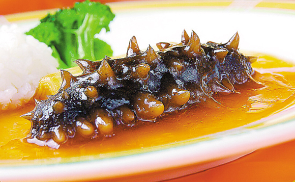 干海參和鮮海參哪個(gè)營(yíng)養價(jià)值高