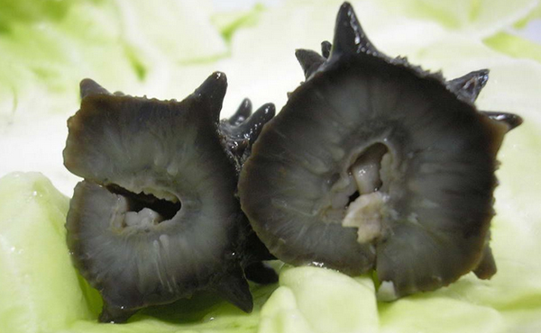 揭秘干海參的重量與品質(zhì)的關(guān)系