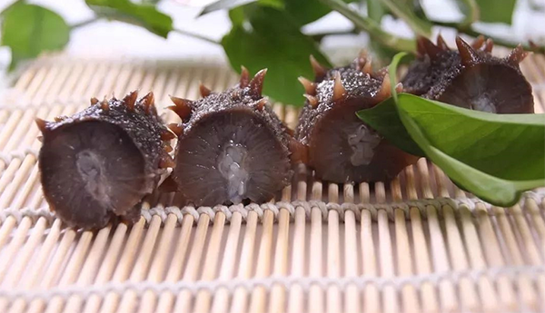 海參是海鮮么？