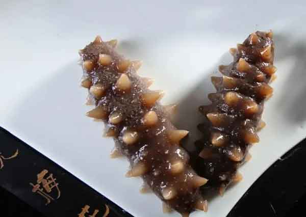 海參----名貫古今的美食