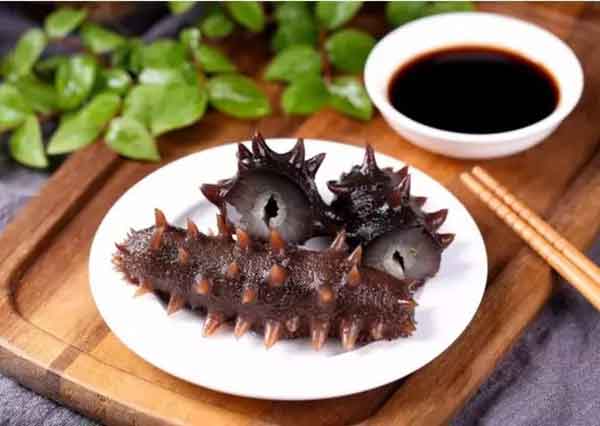 春季養生，食用海參疏肝 強腎 提高免疫力！