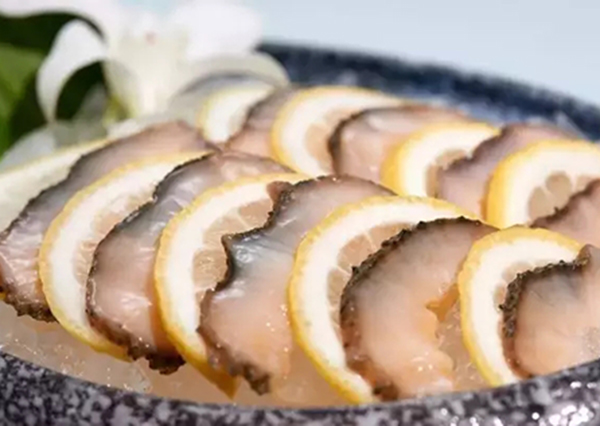 海參滋補食譜大全！
