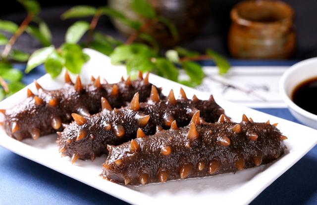 海參的功效與作用及營(yíng)養價(jià)值